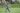 unknown celebrity running outdoors